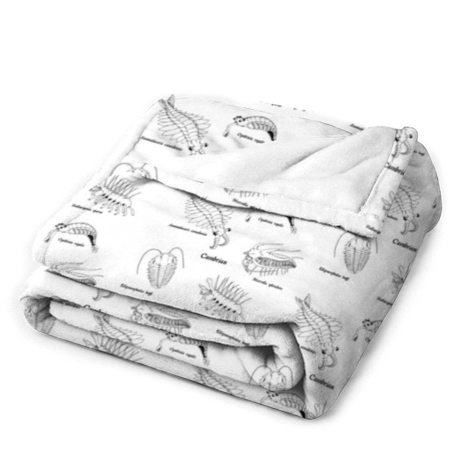 Coperta in Flanella Stile Libr - Luxury Lifestyle Travel recensione e prezzo